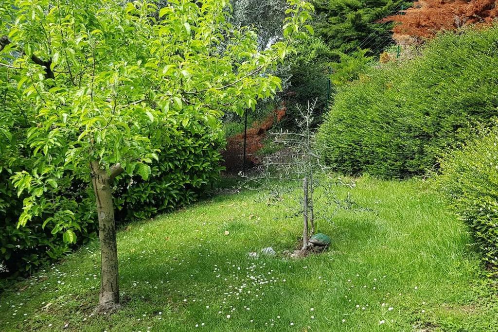 Iseolakerental - Casa Rododendro Sulzano Luaran gambar